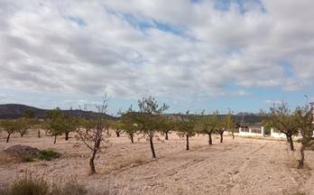 venta terrenos solares abanilla barinas