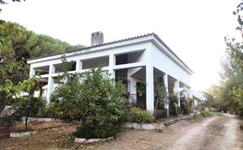 3 casas en venta trigueros