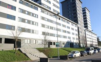 alquiler estudio santiago de compostela 