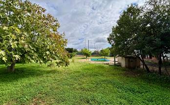 35 terrenos y fincas en venta marratxi