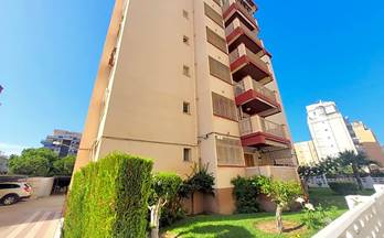 alquiler apartamento gandia playa de gandia