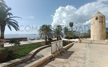 venta local palma de mallorca platja de palma