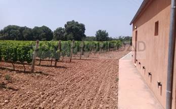 101 terrenos y fincas en venta campanet