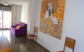 93 pisos en alquiler alicante provincia