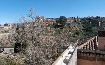 alquiler duplex toledo puente s. martin
