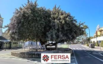 31 casas en alquiler jerez de la frontera