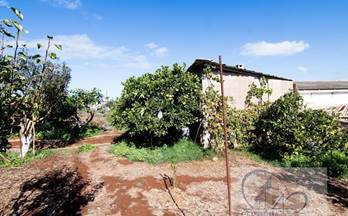 10 terrenos y fincas en venta san cristobal de la laguna