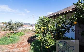 10 terrenos y fincas en venta tegueste
