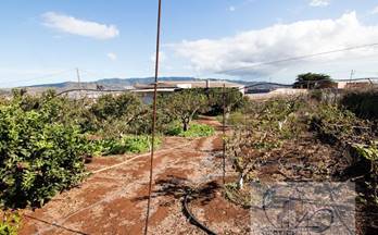 11 terrenos y fincas en venta san cristobal de la laguna
