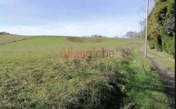 44 terrenos y fincas en venta las regueras