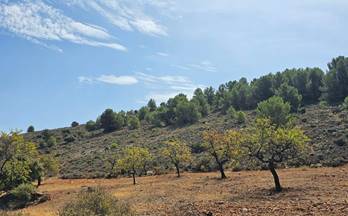 venta terrenos solares fondon fondon