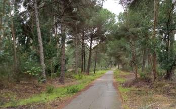 3 terrenos y fincas en venta beas