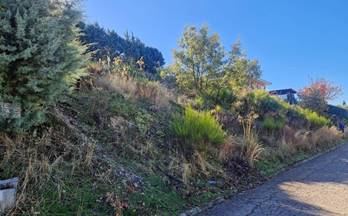 venta terrenos solares soto del real puente real