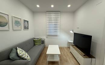 1  pisos y apartamentos en alquiler amueblados madrid arganzuela