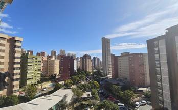 ESTUDIO en venta Benidorm Juzgados