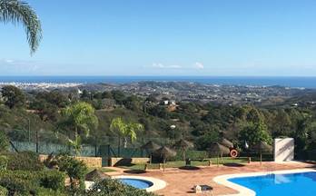 alquiler apartamento marbella la mairena