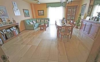 21 casas en venta alpicat