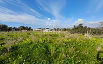 venta terrenos solares sant josep de sa talaia 