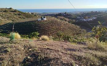 86 terrenos y fincas en venta almachar