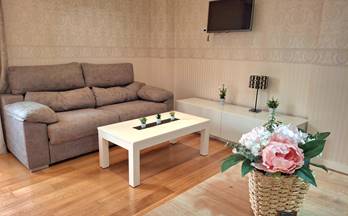 alquiler apartamento alicante mercado