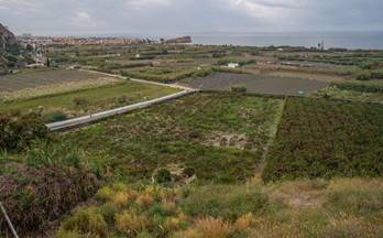 74 terrenos y fincas en venta carchuna