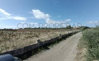 venta finca rustica petra 