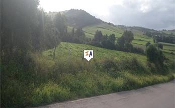 12 terrenos y fincas en venta barbate