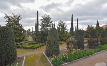 54 locales en venta cullar vega