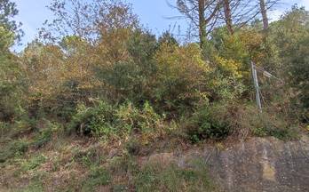 venta terrenos solares monistrol de calders la masia del sola