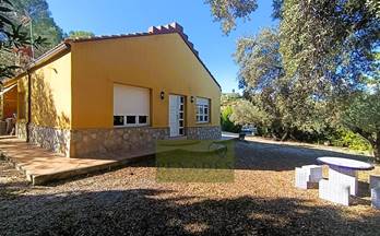 venta chalet ontinyent cami vell alfafara