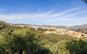 52 terrenos y fincas en venta velez de benaudalla