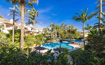 436 pisos en venta puerto banus