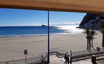 alquiler piso benidorm 