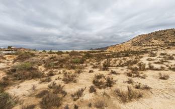 terrenos solares en venta pechina