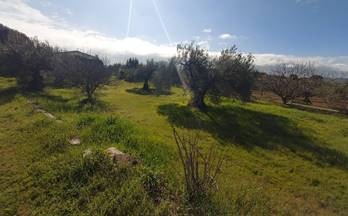 venta terrenos solares zafra zafra