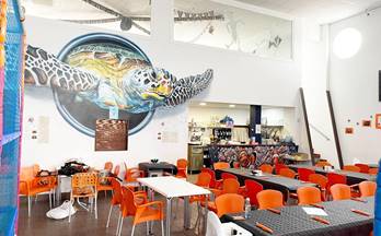 2 locales en alquiler almenara