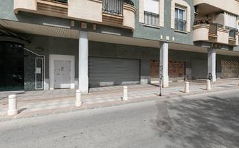 53 locales en venta armilla