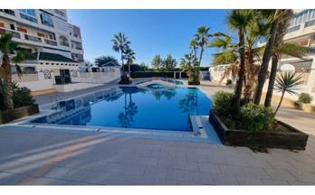 17  pisos y apartamentos en venta baratos torrevieja