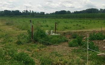 29 terrenos y fincas en venta lleida