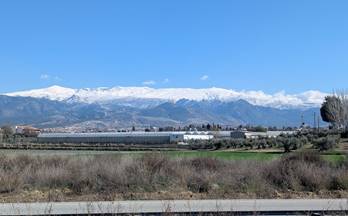 113 terrenos y fincas en venta jun