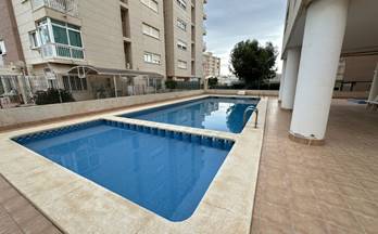 1033 pisos en venta san miguel de salinas