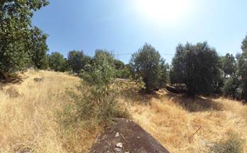 5 terrenos y fincas en venta san lorenzo de el escorial