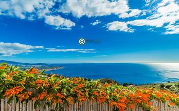 venta villa almuñecar cercanias