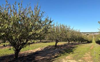 152 terrenos y fincas en venta villarrasa