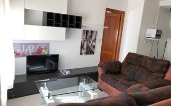 alquiler piso granada triunfo jardin