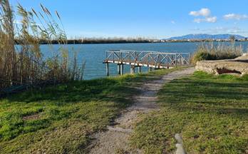 75 terrenos y fincas en venta deltebre