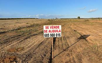 3 terrenos y fincas en alquiler almonte