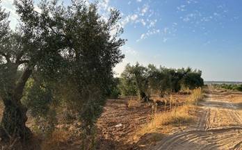 venta terrenos solares bollullos par del condado andalucia