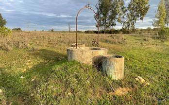 venta finca rustica bollullos par del condado andalucia