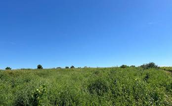 venta finca rustica bollullos par del condado andalucia